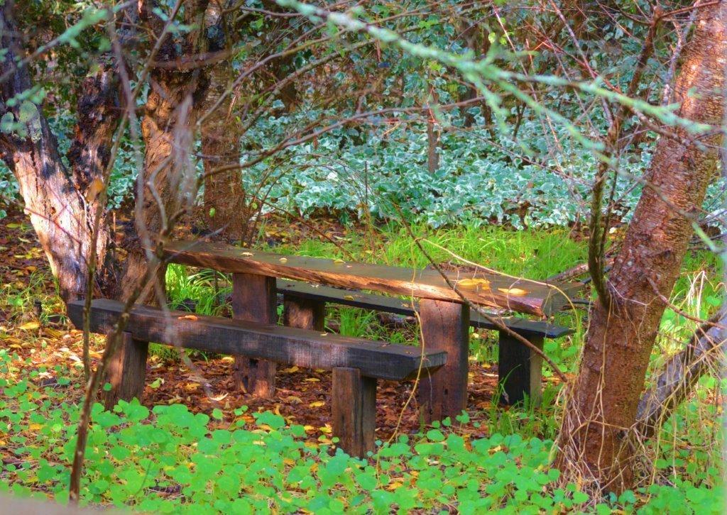 Black Cockatoo Lodge Nannup Ngoại thất bức ảnh
