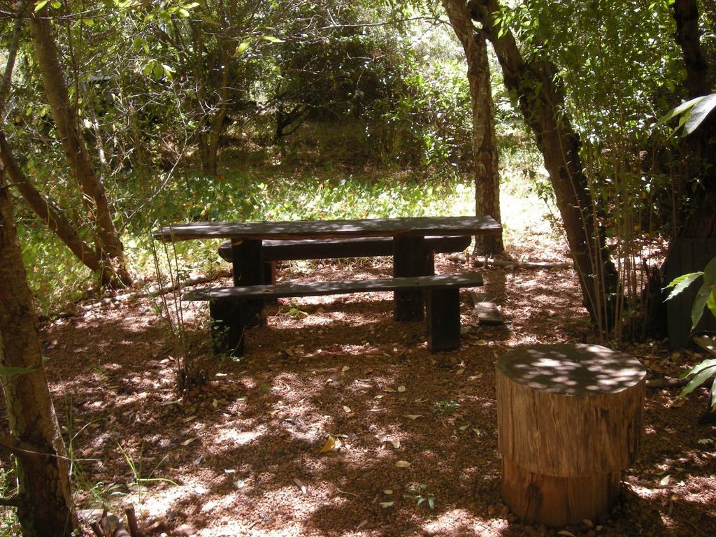 Black Cockatoo Lodge Nannup Ngoại thất bức ảnh
