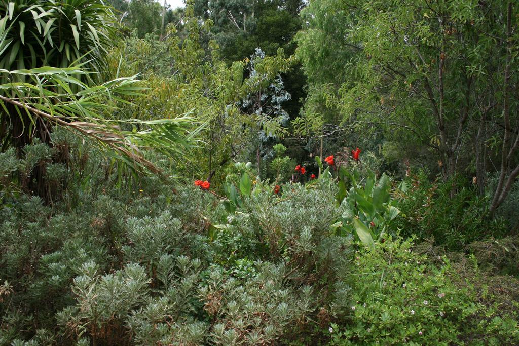Black Cockatoo Lodge Nannup Ngoại thất bức ảnh