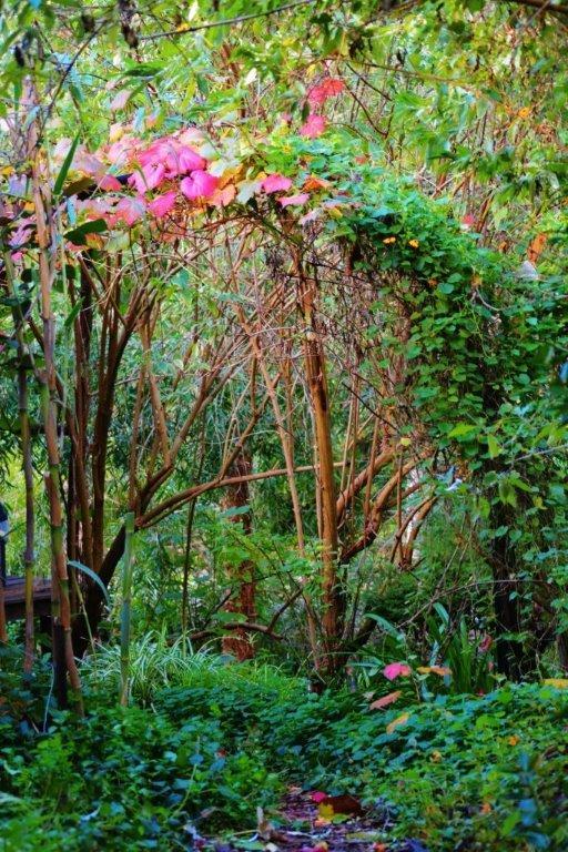 Black Cockatoo Lodge Nannup Ngoại thất bức ảnh