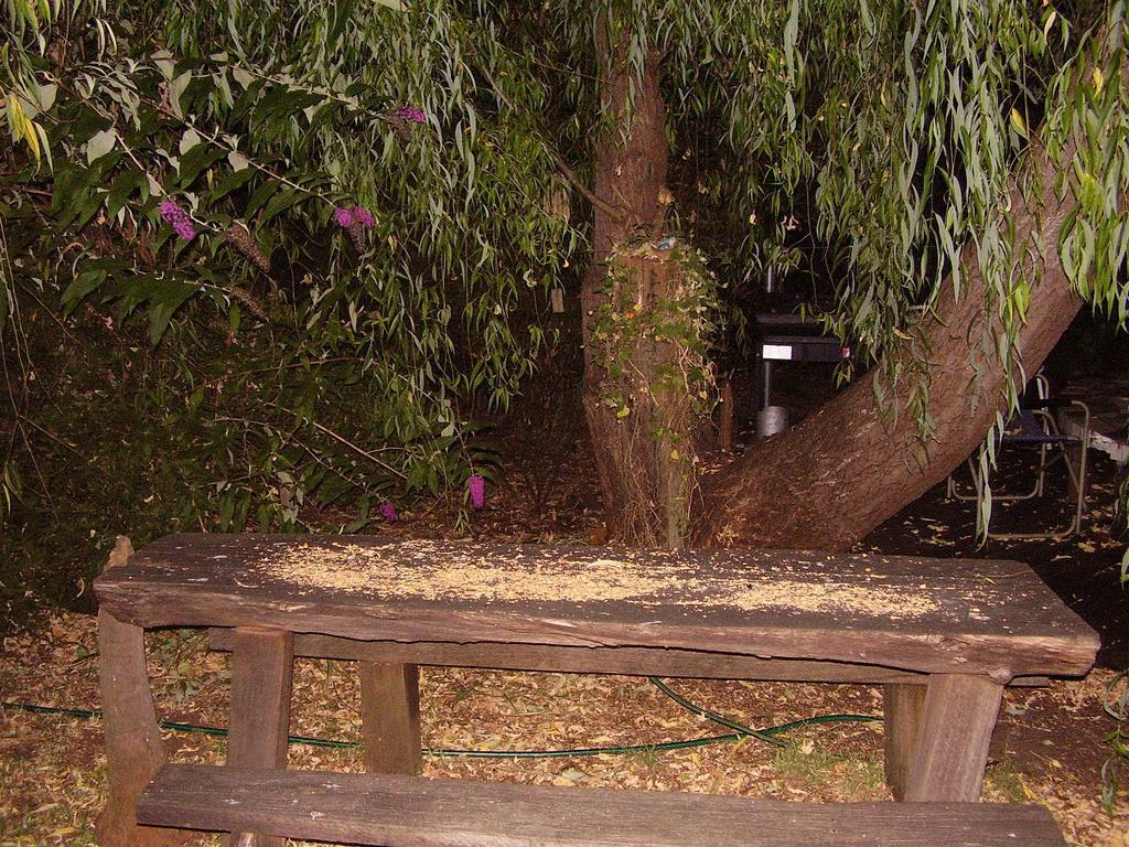 Black Cockatoo Lodge Nannup Ngoại thất bức ảnh