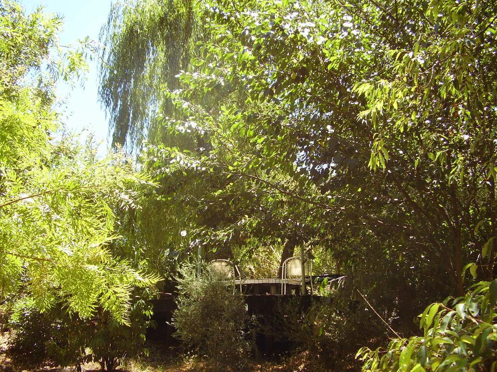 Black Cockatoo Lodge Nannup Ngoại thất bức ảnh