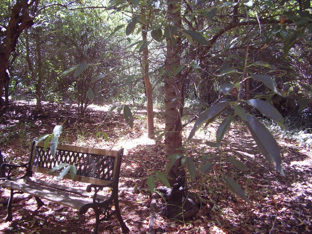 Black Cockatoo Lodge Nannup Ngoại thất bức ảnh