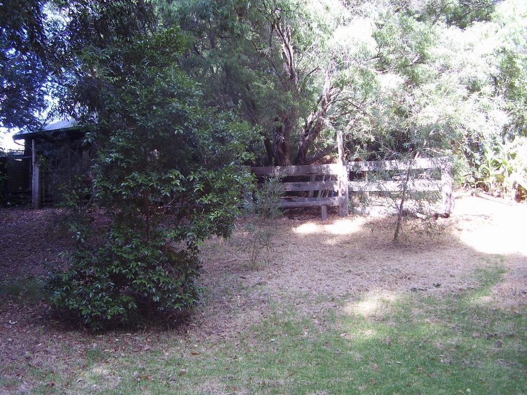 Black Cockatoo Lodge Nannup Ngoại thất bức ảnh