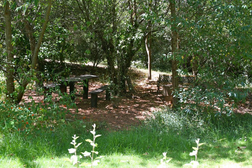 Black Cockatoo Lodge Nannup Ngoại thất bức ảnh