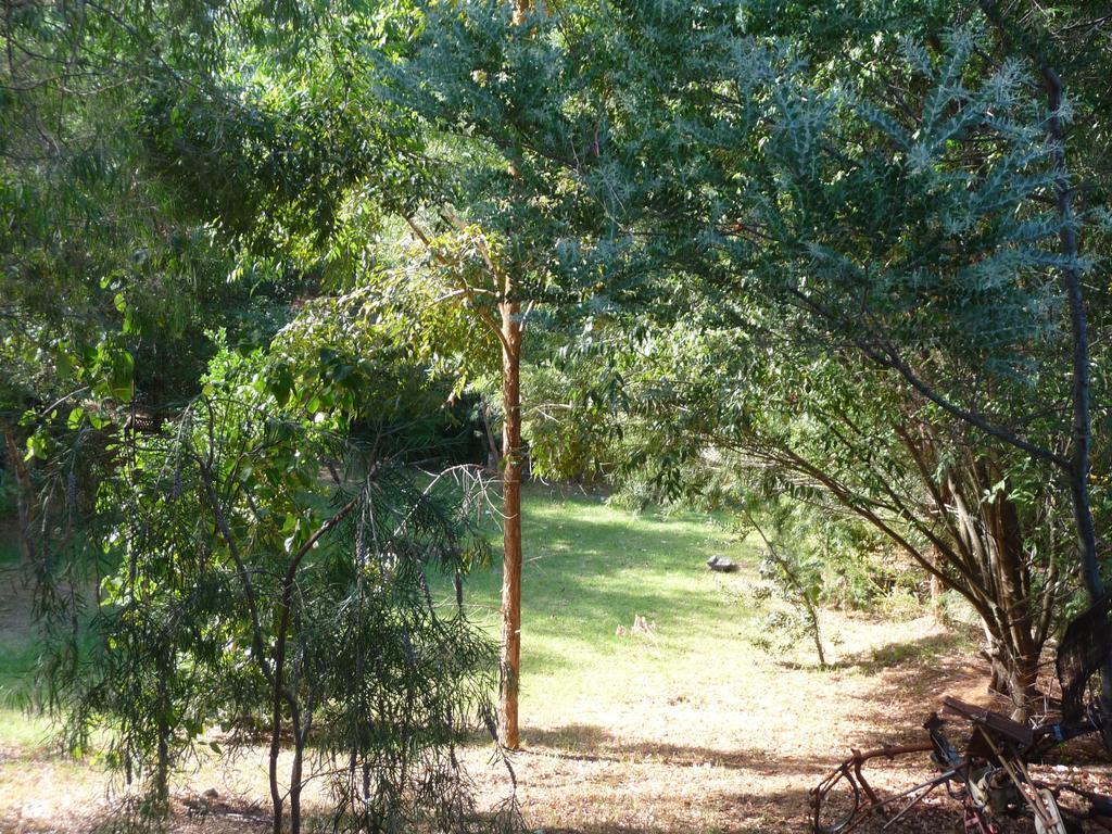 Black Cockatoo Lodge Nannup Ngoại thất bức ảnh