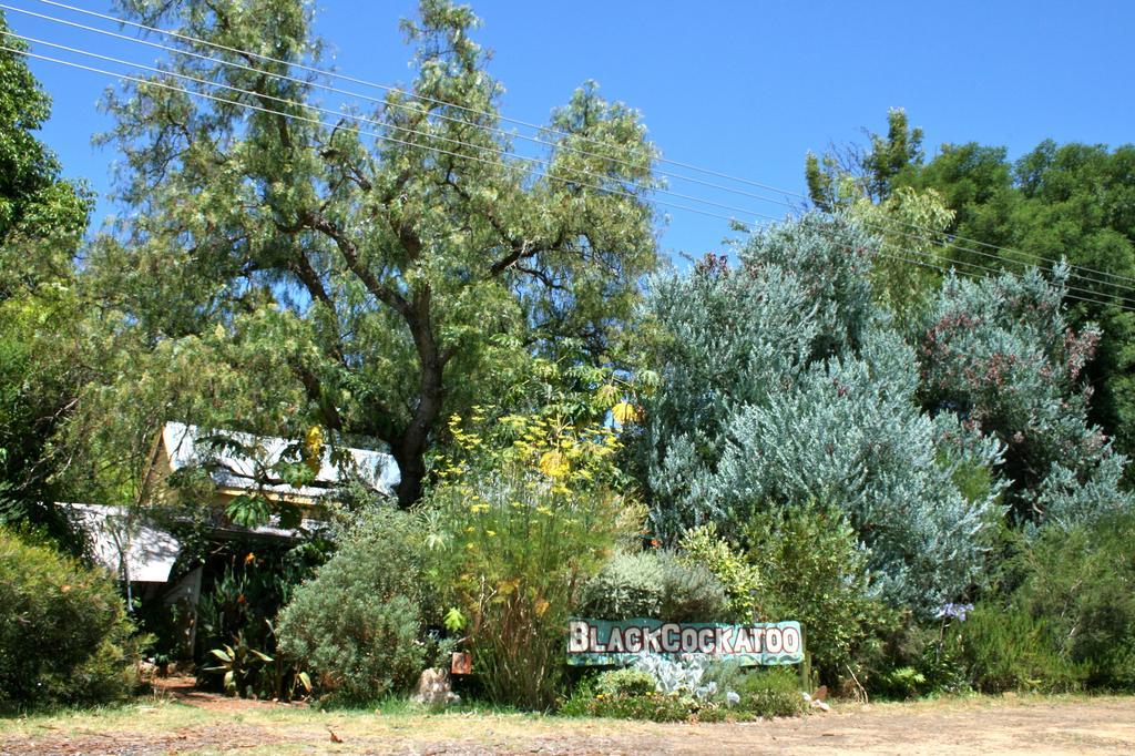 Black Cockatoo Lodge Nannup Ngoại thất bức ảnh