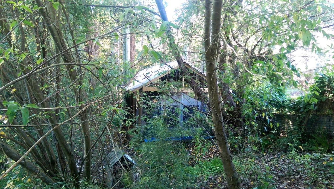 Black Cockatoo Lodge Nannup Ngoại thất bức ảnh