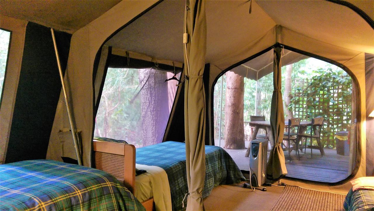 Black Cockatoo Lodge Nannup Ngoại thất bức ảnh